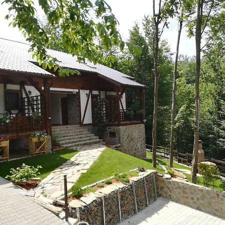 Văliug Casa Gozna 아파트 외부 사진