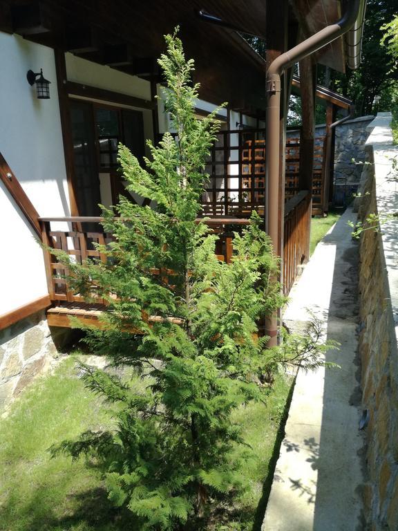 Văliug Casa Gozna 아파트 외부 사진