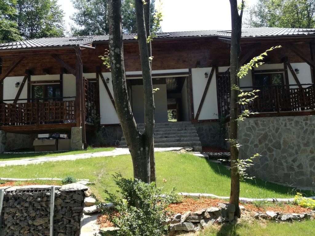 Văliug Casa Gozna 아파트 외부 사진