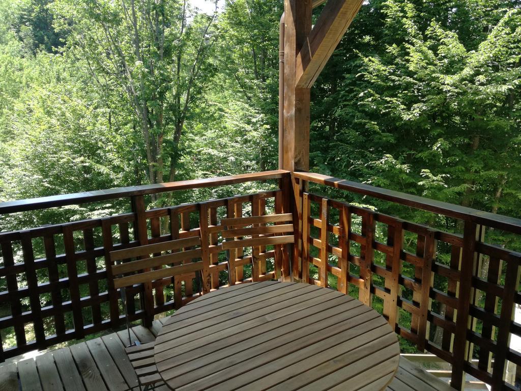 Văliug Casa Gozna 아파트 외부 사진