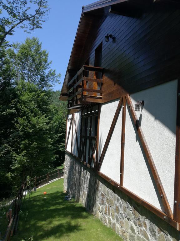 Văliug Casa Gozna 아파트 외부 사진