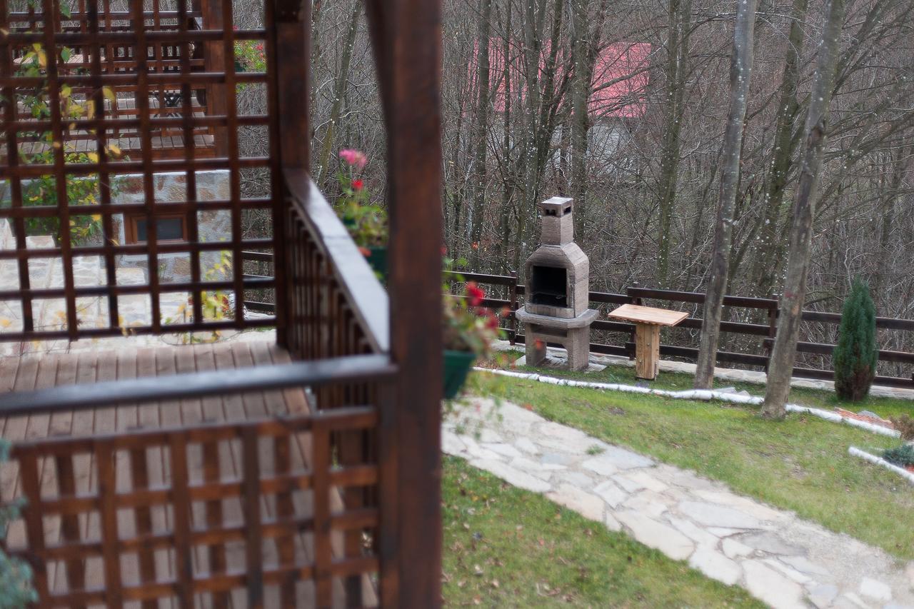 Văliug Casa Gozna 아파트 외부 사진