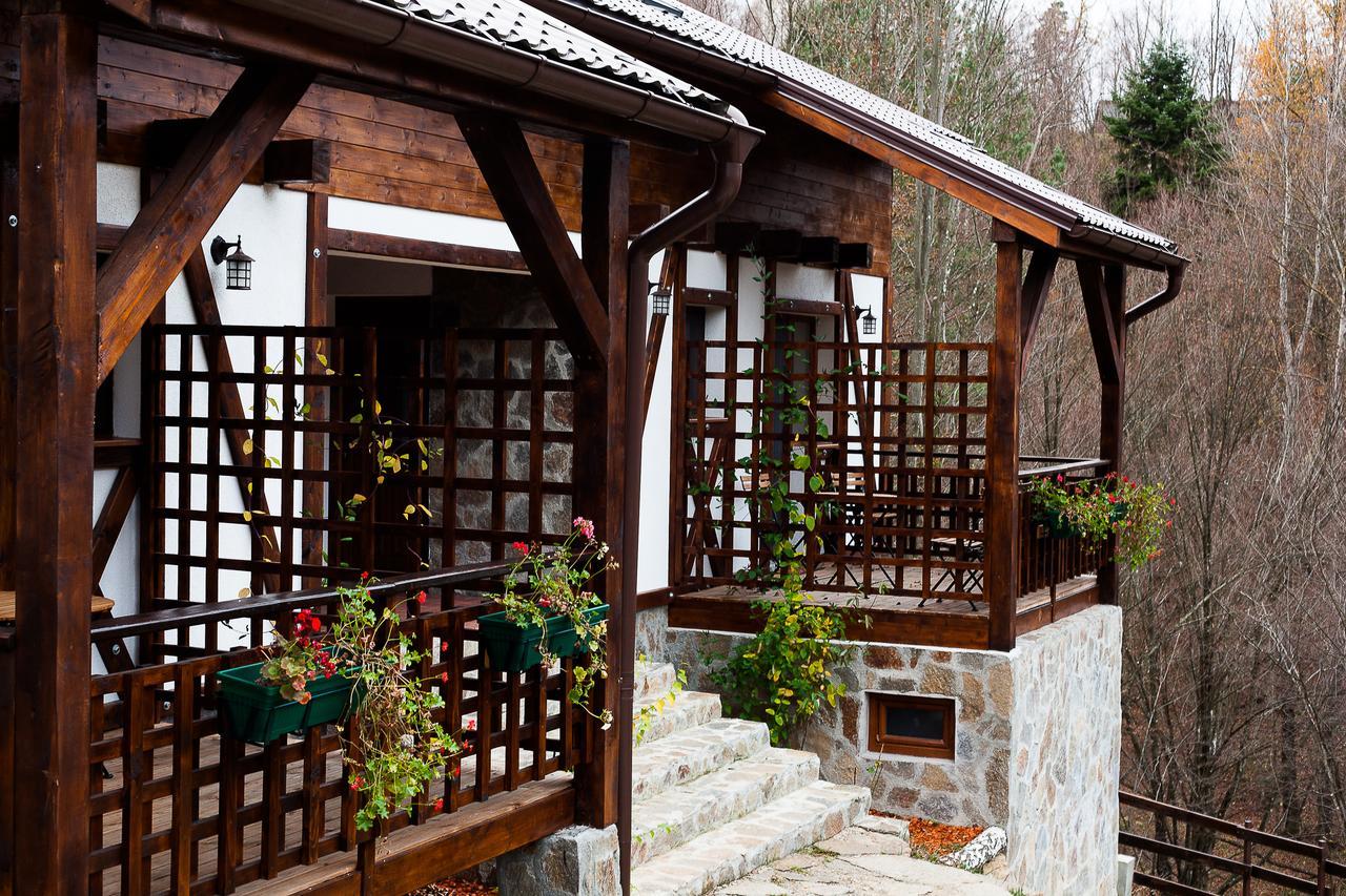 Văliug Casa Gozna 아파트 외부 사진