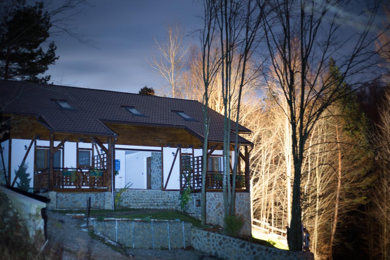 Văliug Casa Gozna 아파트 외부 사진