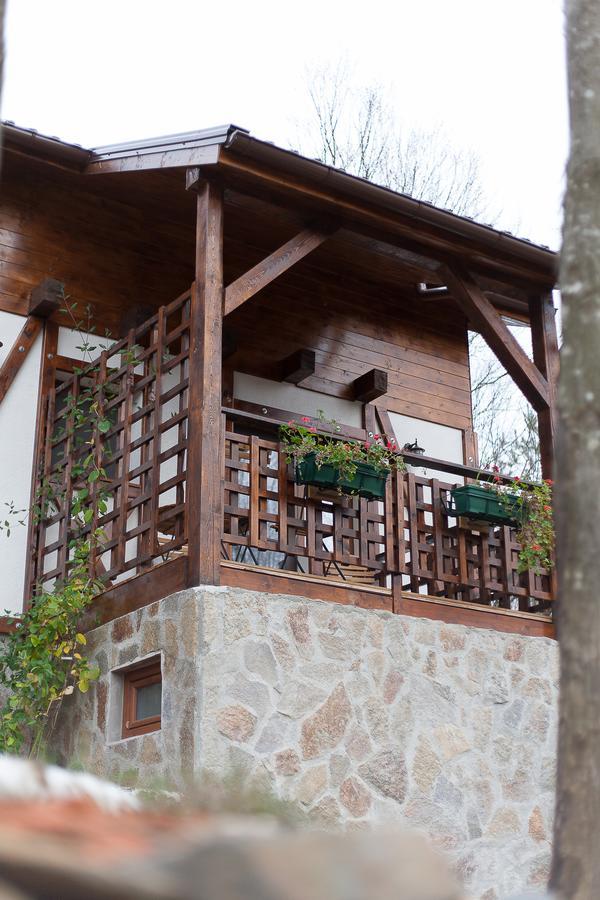 Văliug Casa Gozna 아파트 외부 사진