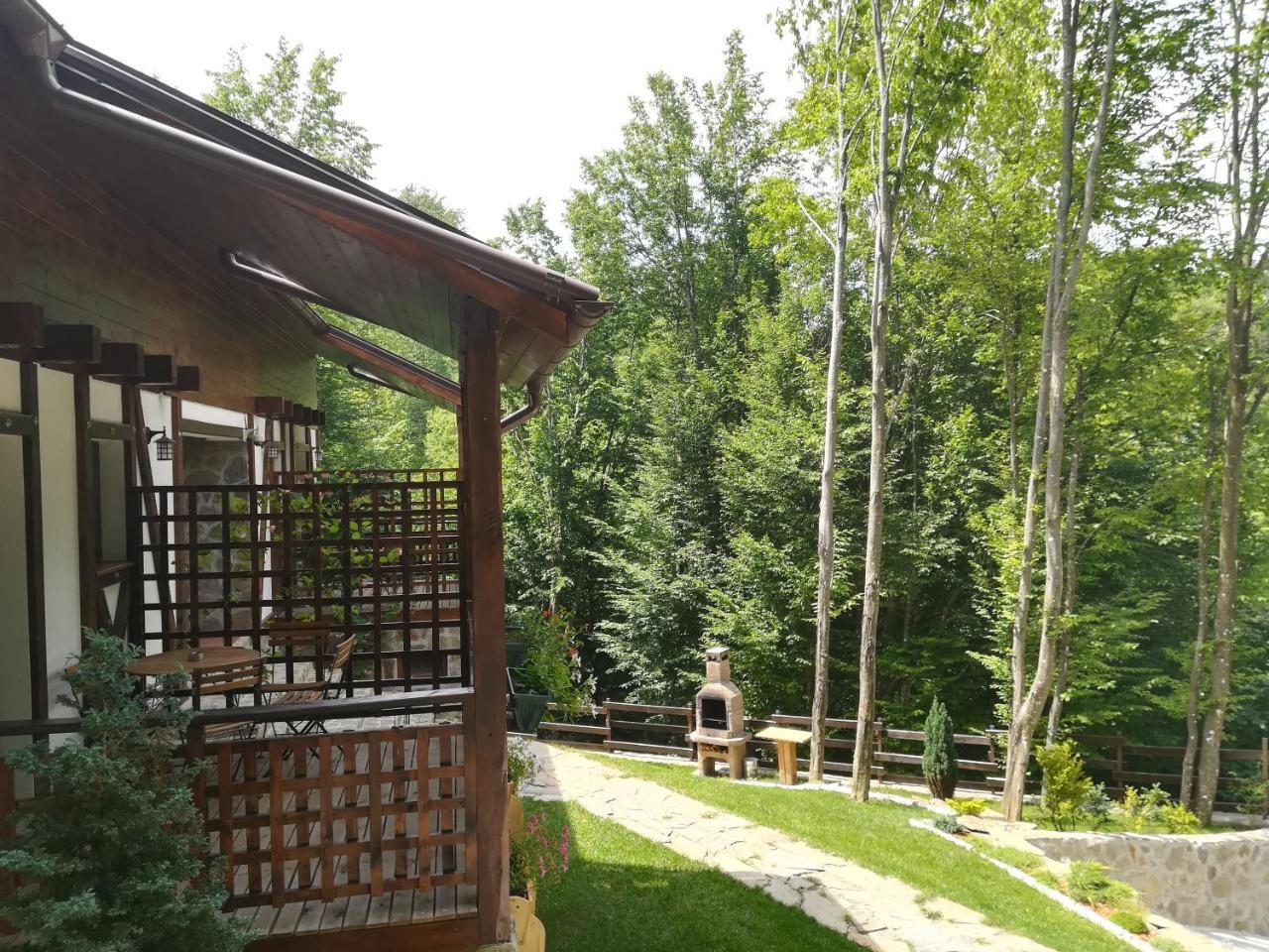 Văliug Casa Gozna 아파트 외부 사진