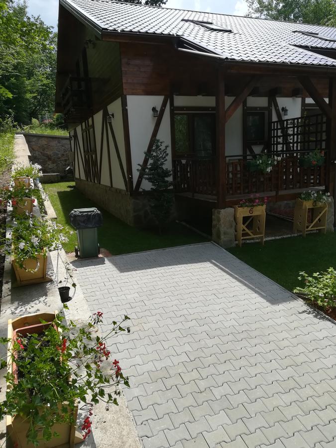 Văliug Casa Gozna 아파트 외부 사진