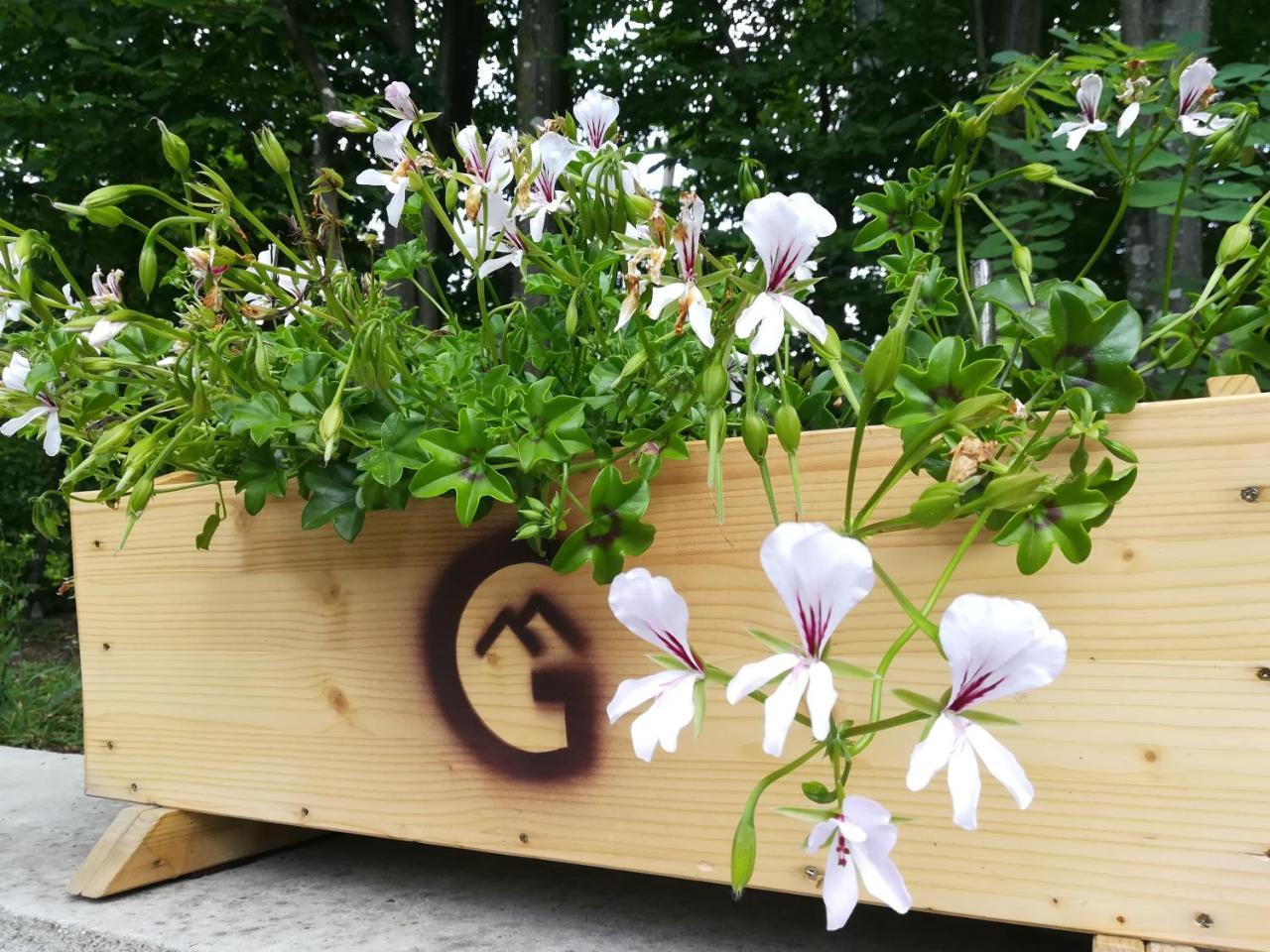 Văliug Casa Gozna 아파트 외부 사진