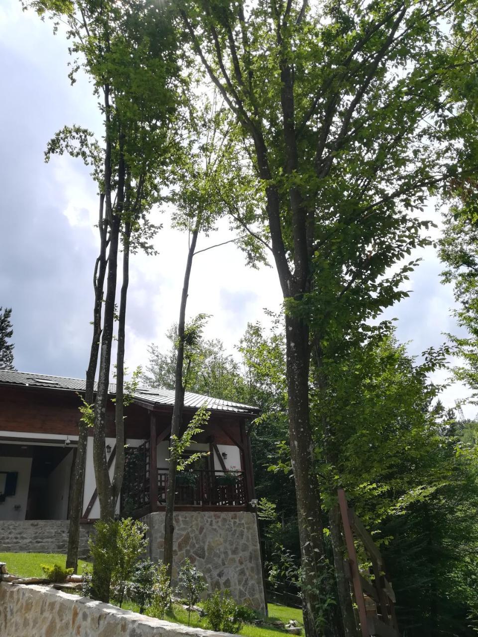 Văliug Casa Gozna 아파트 외부 사진