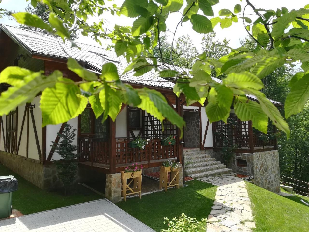 Văliug Casa Gozna 아파트 외부 사진
