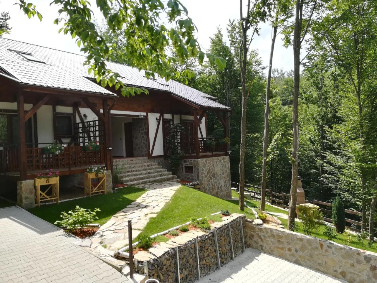 Văliug Casa Gozna 아파트 외부 사진