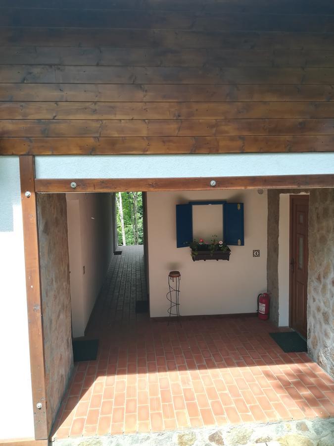 Văliug Casa Gozna 아파트 외부 사진
